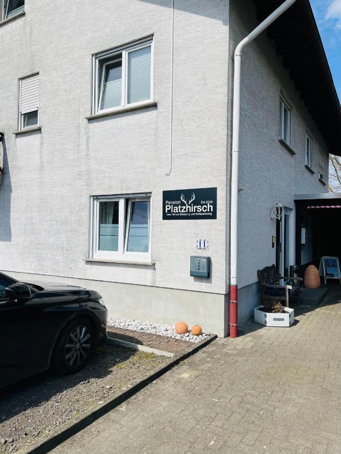 Pension Platzhirsch Mucke Luaran gambar