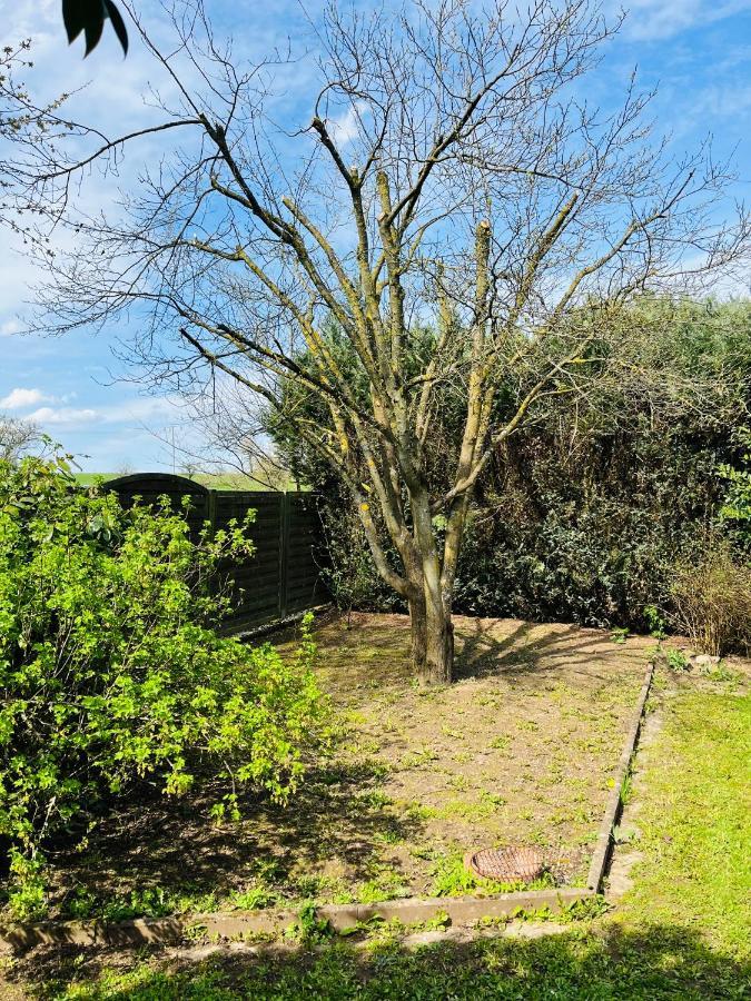 Pension Platzhirsch Mucke Luaran gambar